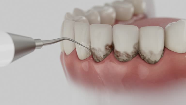 Reliable Dental contractor in Thonotosassa, FL by Dentist Open Now